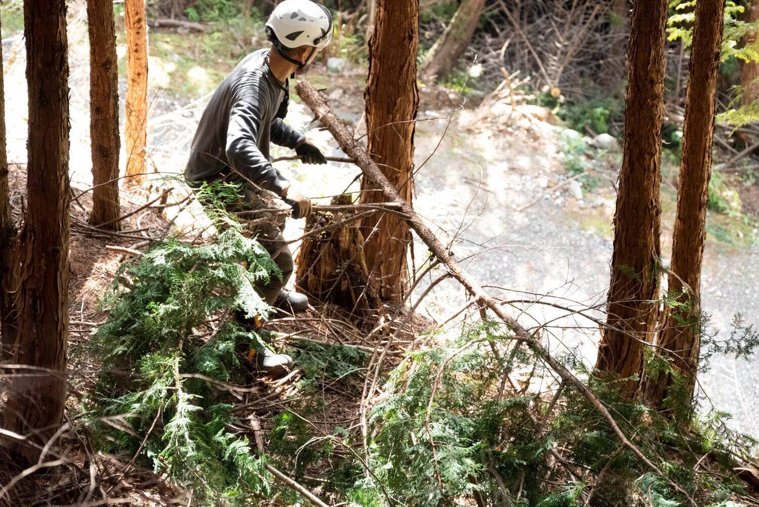 おがくずの探求から始まった、発酵温浴nifuの持続可能な美容革命