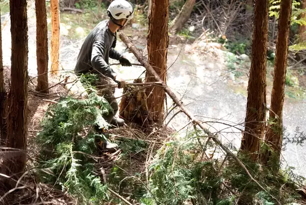 「おがくずの探求から始まった、発酵温浴nifuの持続可能な美容革命」の画像