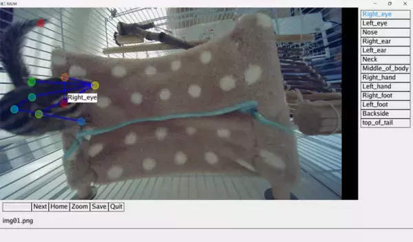 リケナリシス、DeepLabCutに特化したアノテーションソフトウェア「RALM」販売開始