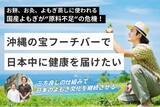 「国産よもぎ不足が深刻化！沖縄「フーチバー」で解決へ！遊休地解消＆よもぎ増産を目指すクラウドファンディングが大好評」の画像1