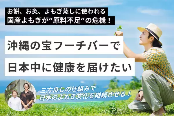 国産よもぎ不足が深刻化！沖縄「フーチバー」で解決へ！遊休地解消＆よもぎ増産を目指すクラウドファンディングが大好評