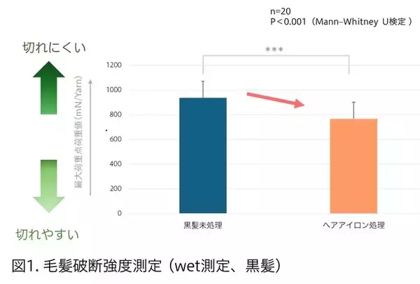 「マンダム、レブリン酸による毛髪補修メカニズムを解明」の画像
