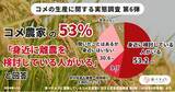 「食べチョク独自調査：前回7月調査に回答したコメ農家の54％が、経営継続への不安が「強まった」と回答」の画像1
