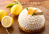 「アンテノール ×「瀬戸内レモン農園(R)」オンラインショップだけの夏限定タルト、ケークを発売します！」の画像1