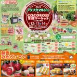 「【山口県山陽小野田市】心温まる市場をお客様に！ 「ノウフクマルシェ＆COCOROSS笑顔マーケット」と「新春おめざフェア」がおのだサンパークで開催！」の画像1