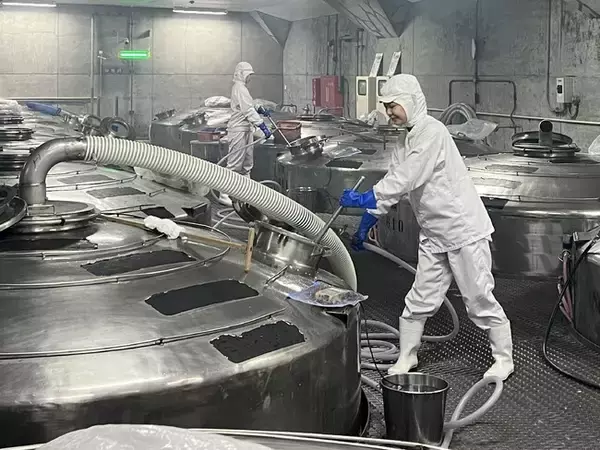 白鶴酒造は、女性活躍推進の認定制度「ミモザ企業」認定を更新！