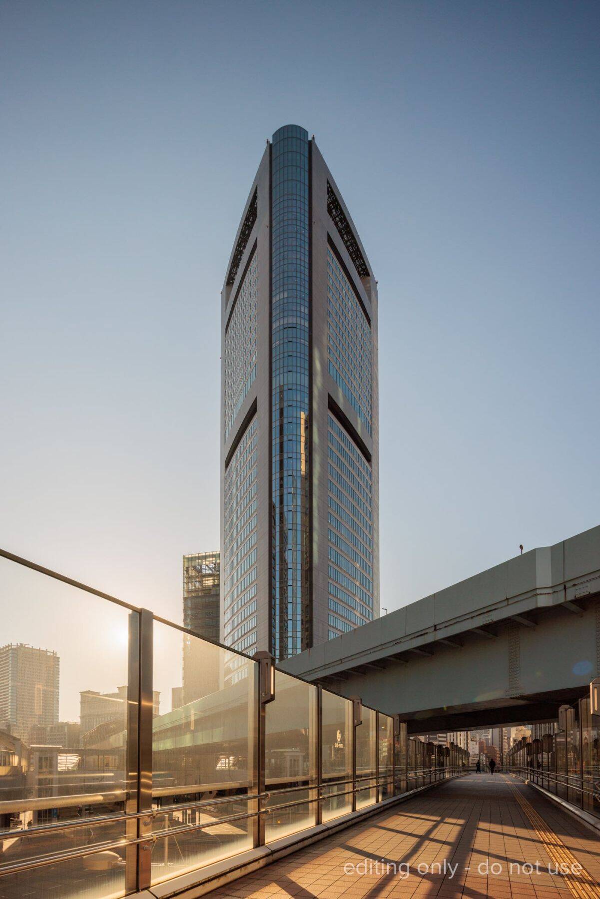 パークホテル東京 アーティストルーム「桜」現代日本画家・大竹寛子氏 インタビュー　～時・夢・季節が交差する“桜の間”に込めた想いとは～