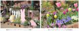 「練馬区立 四季の香ローズガーデンにて「ハッピーイースターフェア」開催／オリジナルのイースターエッグづくりやうさぎのフラワーアレンジメント体験を実施」の画像1