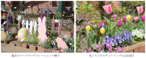 練馬区立 四季の香ローズガーデンにて「ハッピーイースターフェア」開催／オリジナルのイースターエッグづくりやうさぎのフラワーアレンジメント体験を実施
