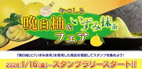 【第2回抽選受付開始】八代の味覚がギュッと詰まった。やつしろ「晩白柚・いずみ抹茶」フェア大好評開催中！八代市内の参加店舗27事業者・物産館で対象商品 提供中（1/16～2/28）