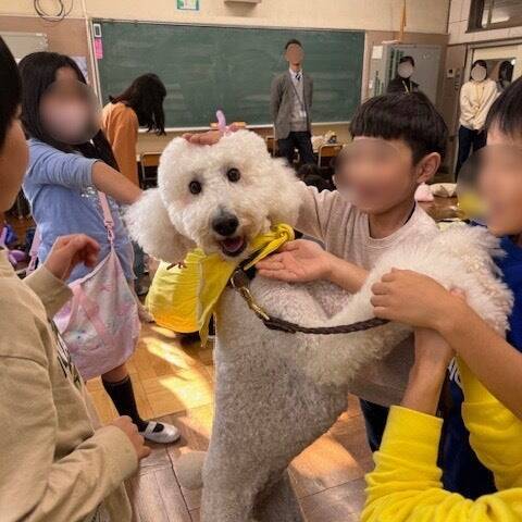 姉と愛犬の病死を経て──“ペット目線の哲学”で歩んだ30年。「自分たちがペットだっとして、与えて・使って欲しいものしか作らない」トーラスの信念