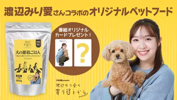 日本直販、“タレントの好き”を商品化する第1弾。元乃木坂46・渡辺みり愛さんとのコラボ商品「犬の雑穀ごはん」を発売