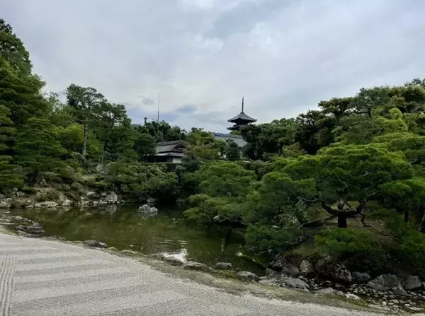 「日本人の肌を支える"和ハーブ"スキンケア「ORIFUSI」のブランド立ち上げストーリー。日々の肌に寄り添い、自然な美しさを引き出す配合とは」の画像