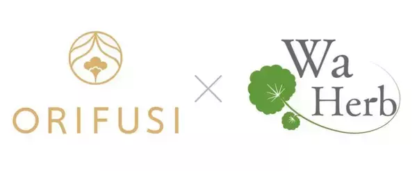 「日本人の肌を支える"和ハーブ"スキンケア「ORIFUSI」のブランド立ち上げストーリー。日々の肌に寄り添い、自然な美しさを引き出す配合とは」の画像