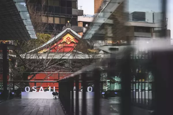 OSAJIが10周年を前に問い直した“存在意義”。—『人生をドラマティックに、世界をロマンティックに。』が生まれるまで