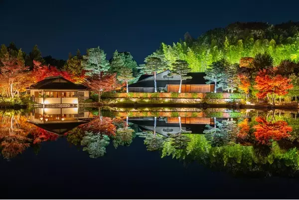 「幻想的な夜の日本庭園が見頃【国営昭和記念公園】」の画像