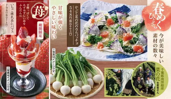 富山県産”ほたるいか”や 千葉県産”菜の花”など 春の味覚が登場【千年の宴・福福屋・月の宴・竹取酒物語】