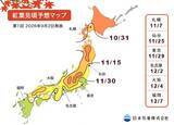 「2026年第1回 紅葉・黄葉見頃予想を発表　残暑の影響で、今秋の見頃は全国的に平年より遅いところも」の画像1