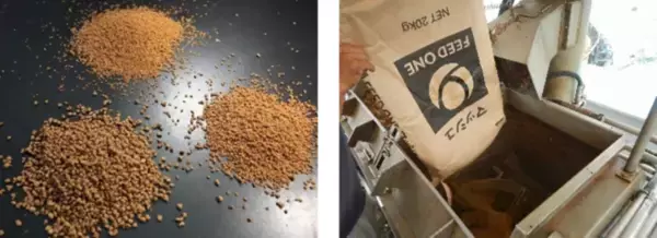 『寿司専用の元気寿司オリジナル国産完全養殖本鮪』ついに完成！愛媛県産本鮪中とろ販売開始！