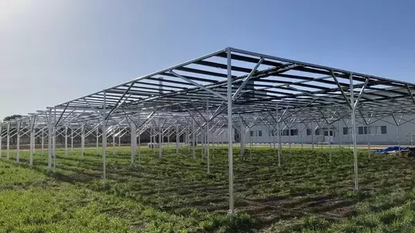 国内初※１、フィルム型ペロブスカイト太陽電池を用いた営農型太陽光発電設備の水田での取り組みを開始