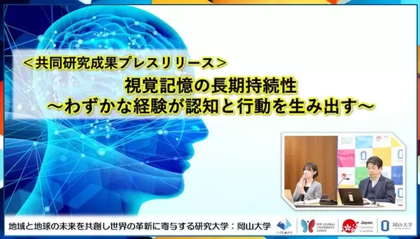 視覚記憶の長期持続性～わずかな経験が認知と行動を生み出す～〔岡山大学, 日本赤十字広島看護大学〕
