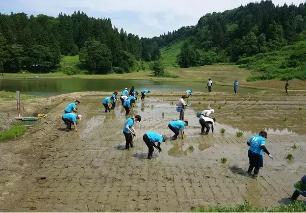 【株式会社ミライト・ワン】新潟県十日町にてミライト・ワン グループ社員による田植えを実施