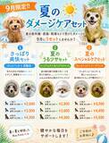 「【西大井店】9月限定!!️夏のダメージケアセット」の画像1