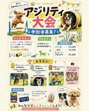 「【Pets Tokyo 豪徳寺2号店】運動の秋」の画像1