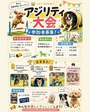 【Pets Tokyo 豪徳寺2号店】運動の秋