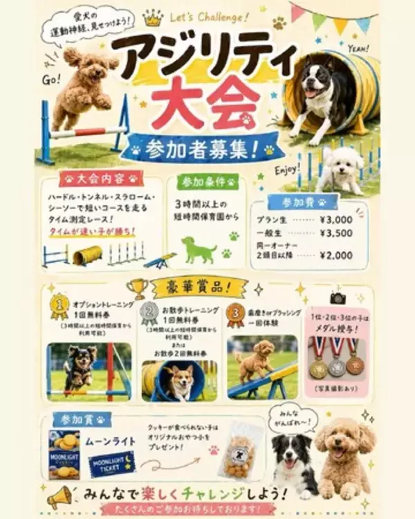 【Pets Tokyo 豪徳寺2号店】運動の秋