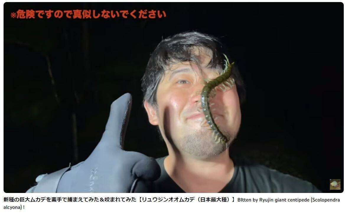 生物ライター平坂寛さんによる著書『虫への愛が止まらない』。虫嫌いだった担当編集者が明かす制作秘話