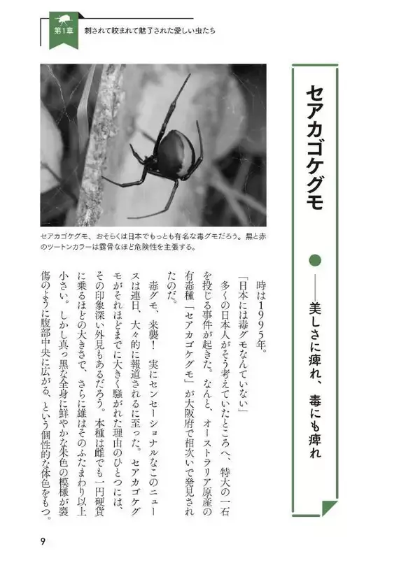 「生物ライター平坂寛さんによる著書『虫への愛が止まらない』。虫嫌いだった担当編集者が明かす制作秘話」の画像