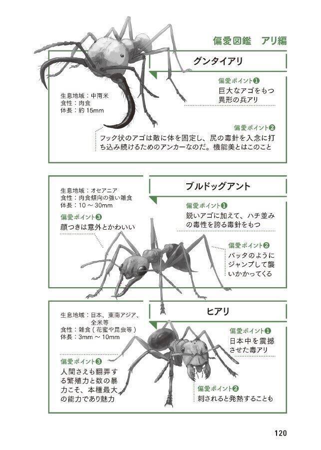 生物ライター平坂寛さんによる著書『虫への愛が止まらない』。虫嫌いだった担当編集者が明かす制作秘話