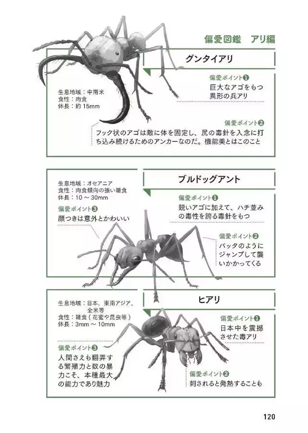 「生物ライター平坂寛さんによる著書『虫への愛が止まらない』。虫嫌いだった担当編集者が明かす制作秘話」の画像
