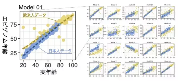 DNAメチル化マイクロアレイと日本人レファレンスを用いたエピゲノム年齢解析の提供サービス開始