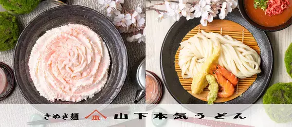「山下本気うどんから春をいち早く感じる新商品が登場！！『桜舞う 白い明太チーズクリームうどん』『春の海老つけうどん』『白桃ソーダ』が新発売」の画像