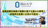 「【岡山大学】組織侵襲性細菌が組織を壊す仕組みを解明！～移植再生医療に応用の可能性～」の画像1