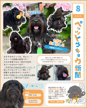 ペットと暮らす毎日をもっと楽しく！「ペッツトウキョウ新聞」8月号を発行