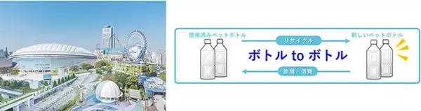 東京ドーム×サントリー「ボトルｔｏボトル」水平リサイクルを開始