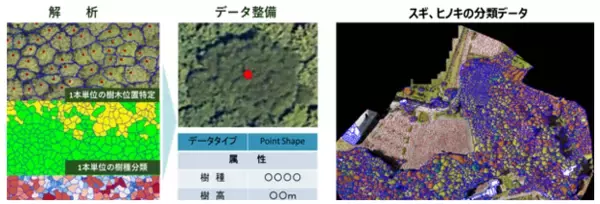 東金市でドローン空撮画像×AI解析ソフトの技術を活用した森林調査を実施しました