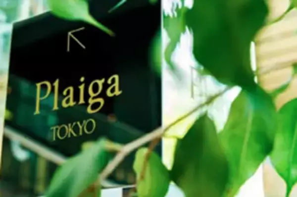 「日本の四季を旅するフレンチ」と響き合う、ノンアルコール・ペアリングの新たな境地。 合同会社トラゲットが創るガストロノミック・コンブチャが、丸の内の気鋭フレンチ「Plaiga TOKYO」にて採用
