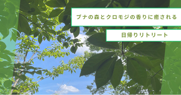 【山形・小国町】ブナの森とクロモジの香りに癒される日帰りリトリートを開催