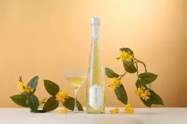 「金木犀の無数の花が瓶を舞う、秋を楽しむリキュール「金木犀の蜂蜜酒」ができるまで」の画像