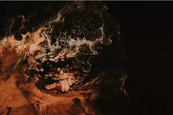 ミネルバ式リーダーシッププログラム「Managing Complexity」個人クラス第一期生募集開始。