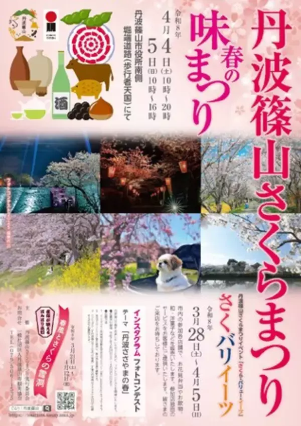丹波篠山に春の訪れ「丹波篠山さくらまつり」