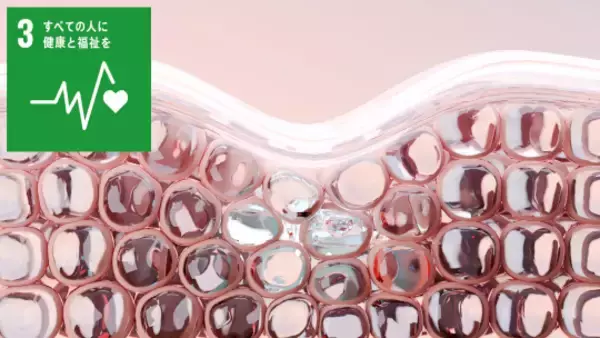 老化細胞が慢性炎症を引き起こす機序を担うパイオニア転写因子「FOXF1/2」の発見-加齢に伴う慢性炎症をコントロールする-