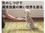 「【飼育放棄を無くしたい】オンラインしつけプラットフォーム「イヌトレ」クラウドファンディング開始のお知らせ」の画像1