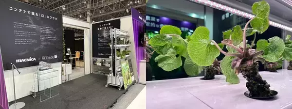 「真妻わさび」を場所を選ばず栽培可能な『わさび栽培モジュール』「第13回農業WEEK」に初出展！