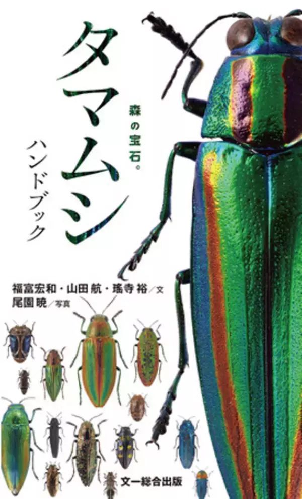 森の宝石と称される美しい昆虫「日本産タマムシ」の識別図鑑、本日発売！