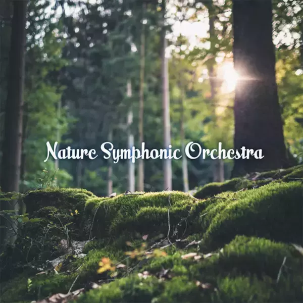 伝統楽器“コシ・チャイム”で奏でられる、究極のヒーリングサウンドに癒される